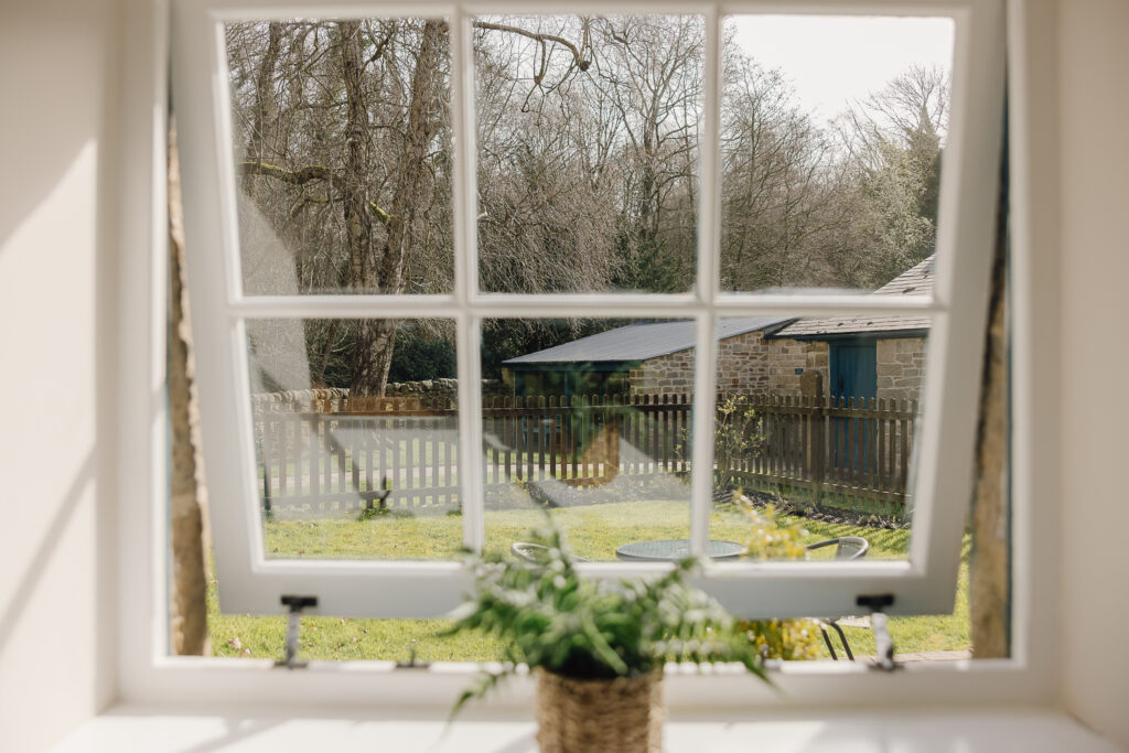 Looking out the window onto grass