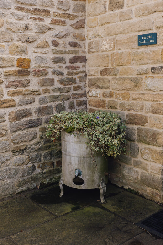 Wash style planter with green plant