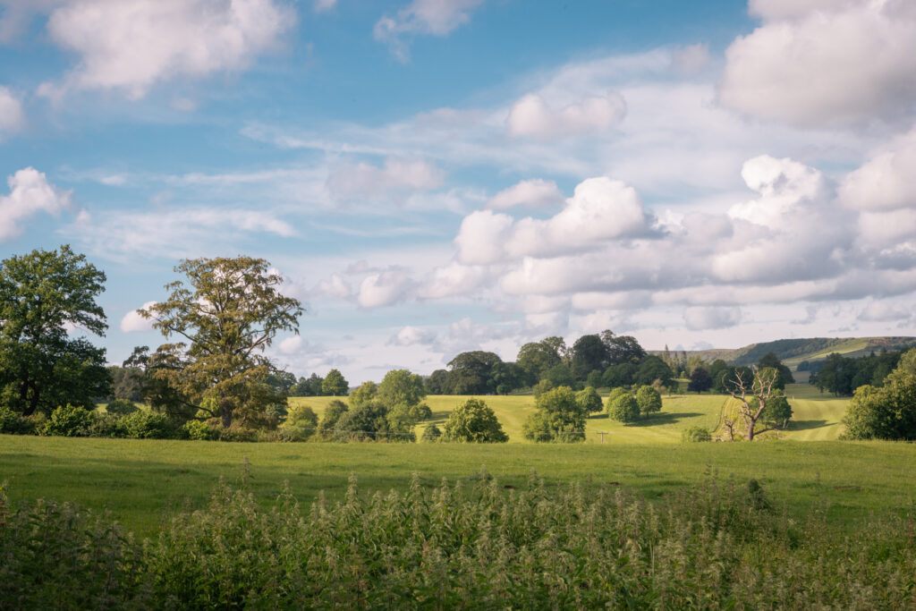Countryside