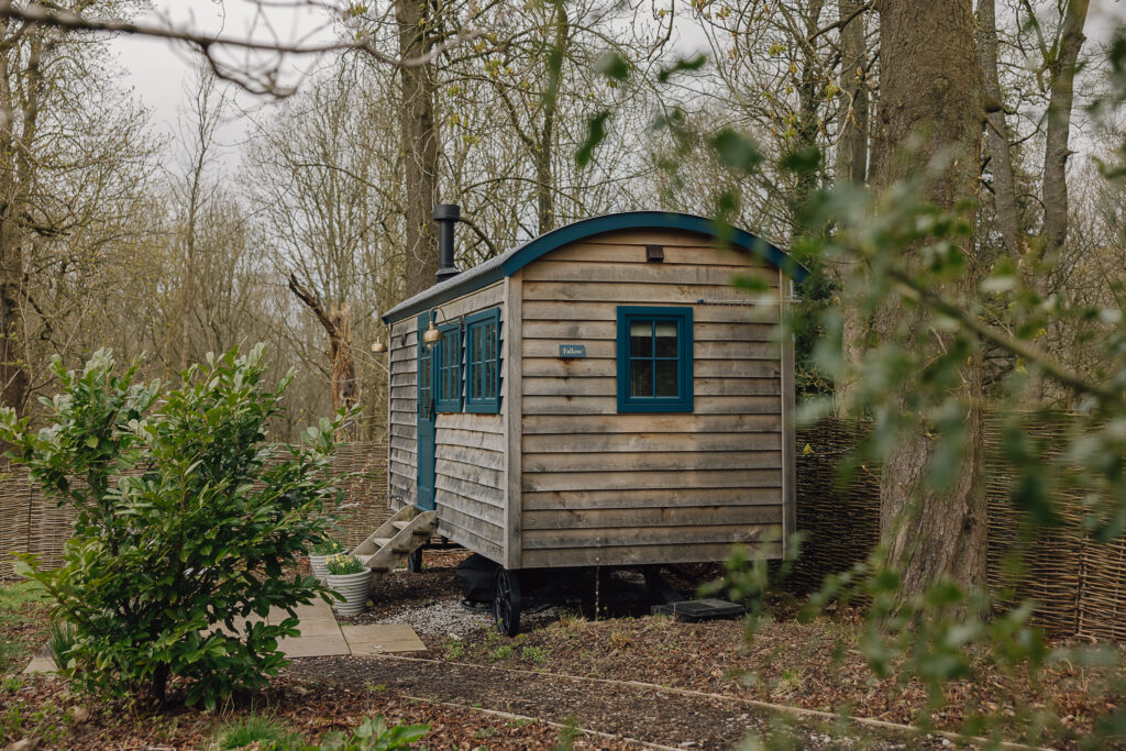 Shepherds hut set in a woodland