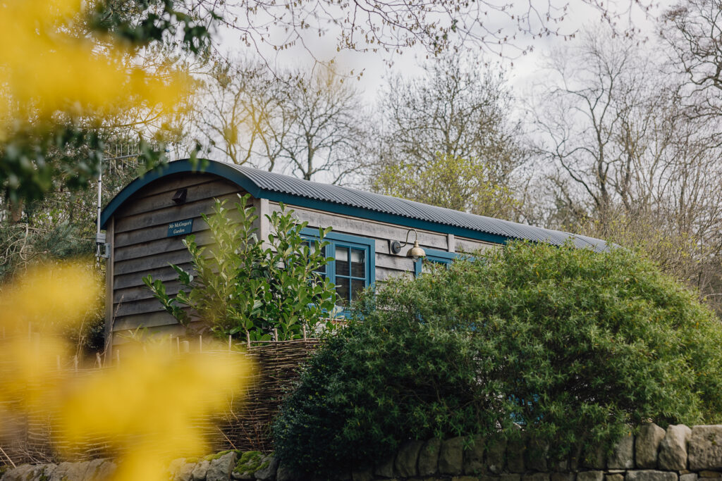 Shepherds hut set in a garden and green brush next to it