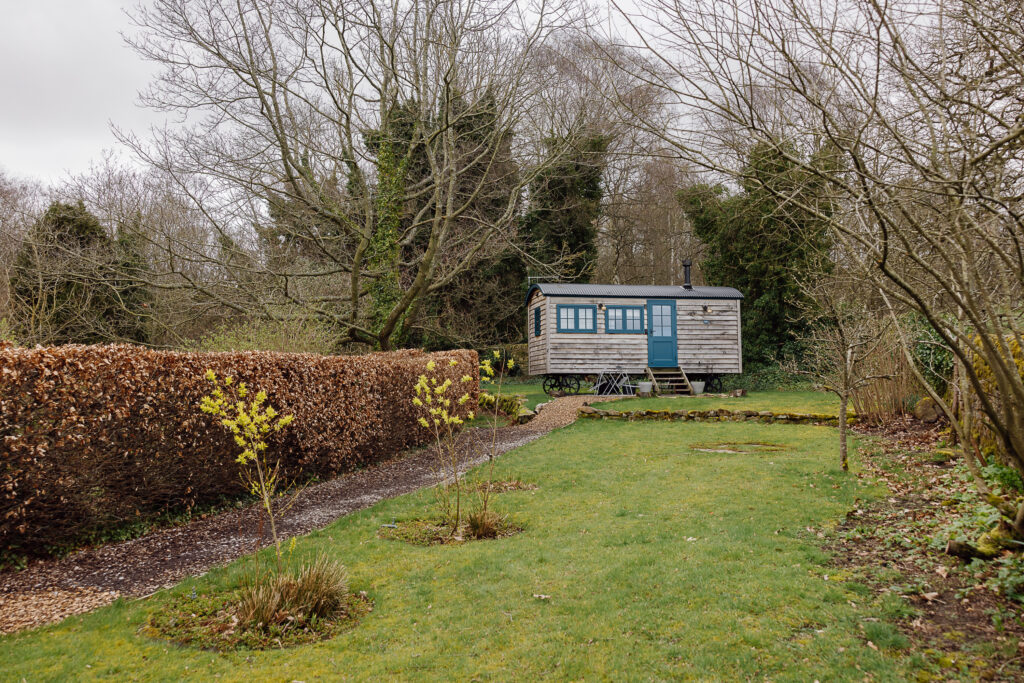 Green grass garden with trees and a hedge, leading to a shepherds hut