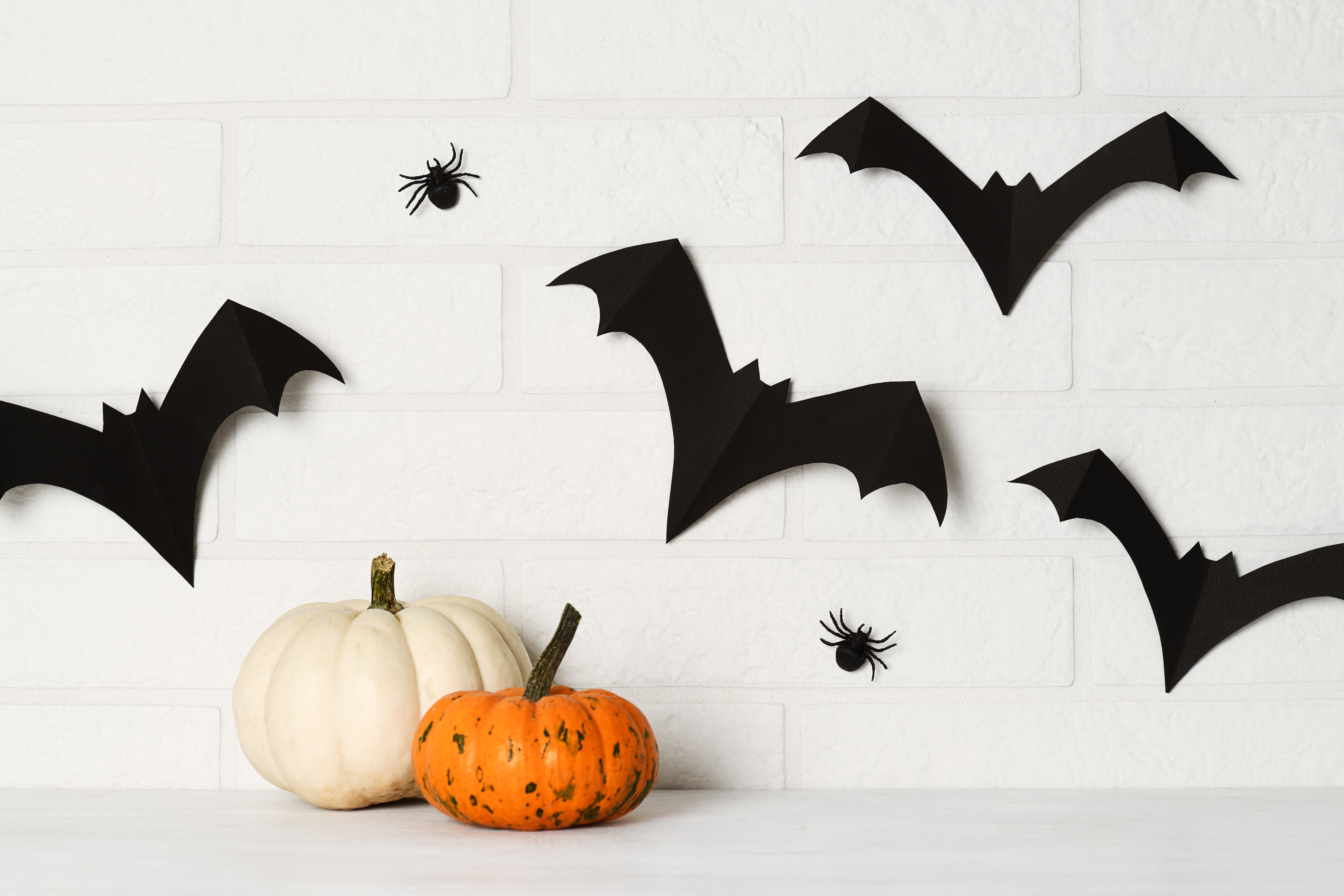 Pumpkins and Cut Out Bats against a pale brick wall. Halloween decorations.