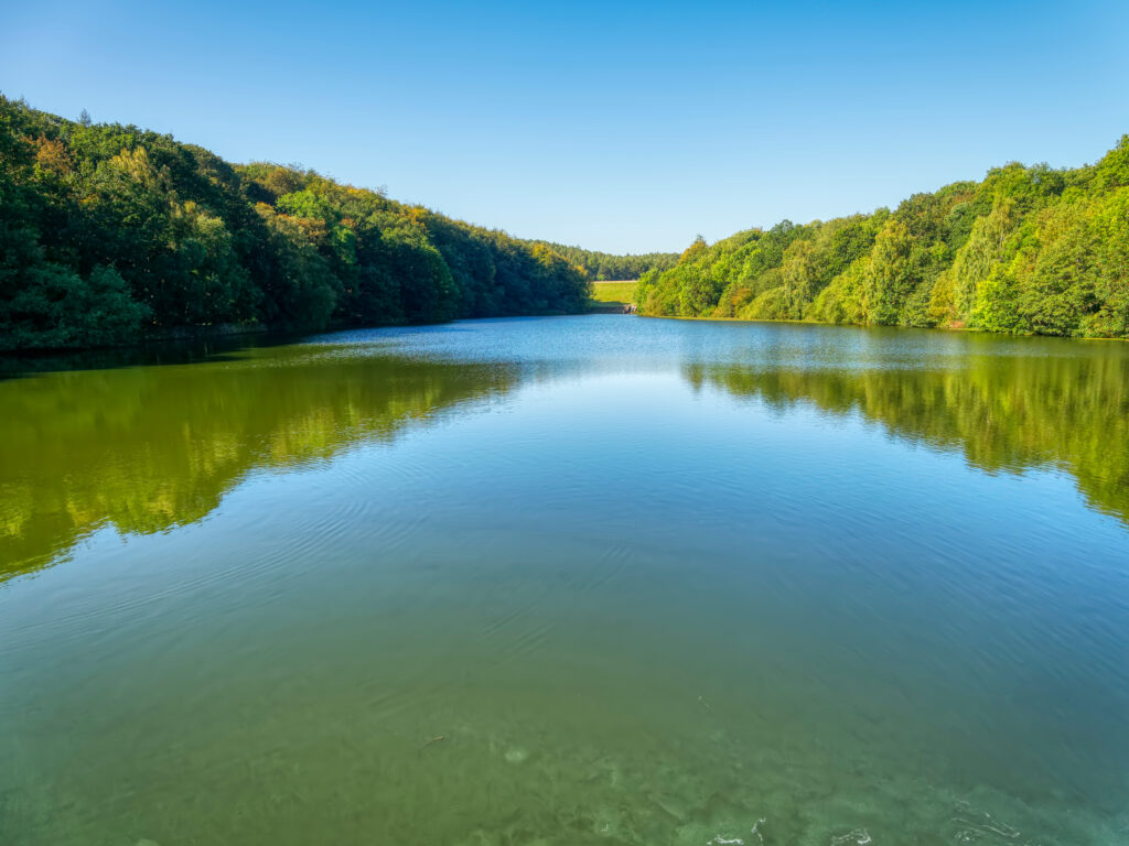 Linacre reservoir