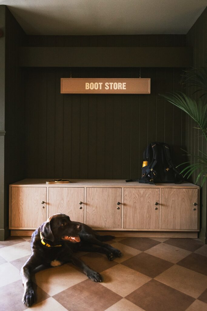 Dog in reception below boot store sign