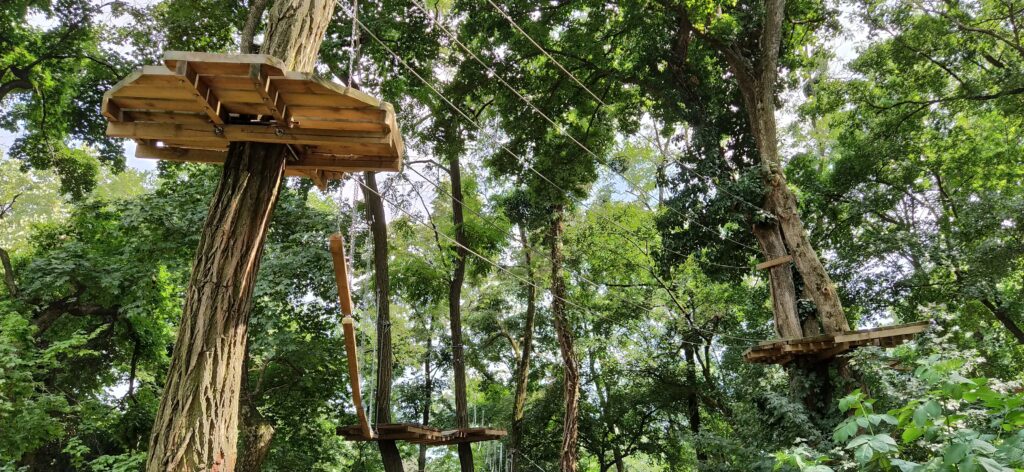 Tree top climbing apparatus