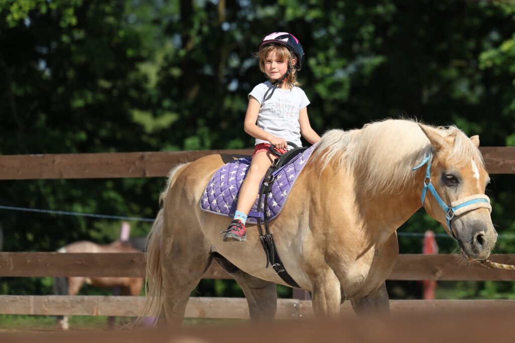Young girl on a horse