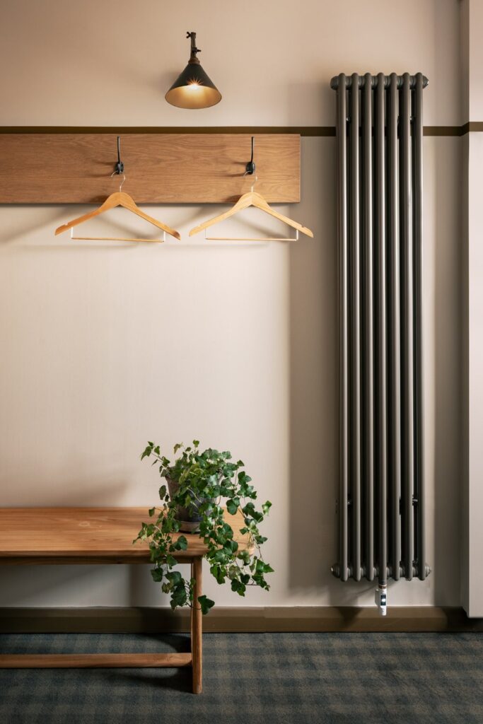Plant, two coat hangers on a coat rack