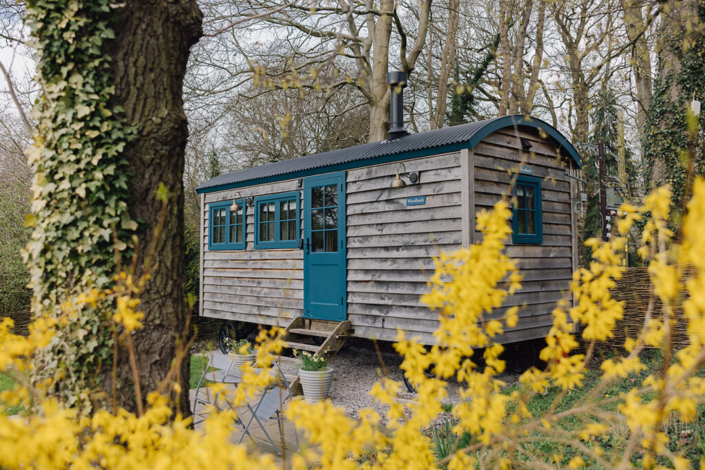 Shepherds hut set in woodland