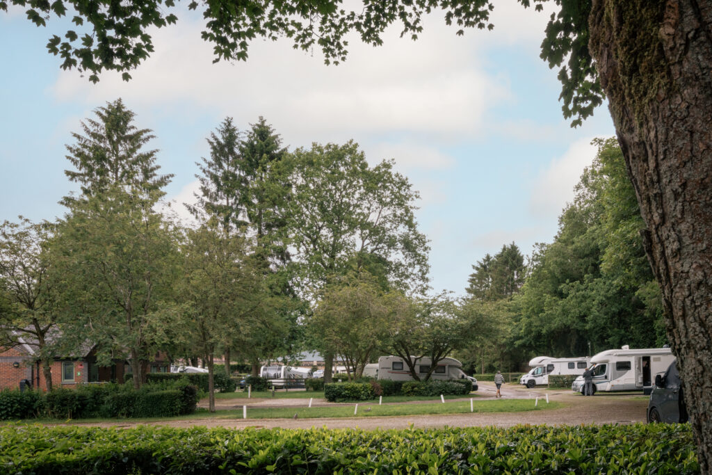 Caravans in a woodland