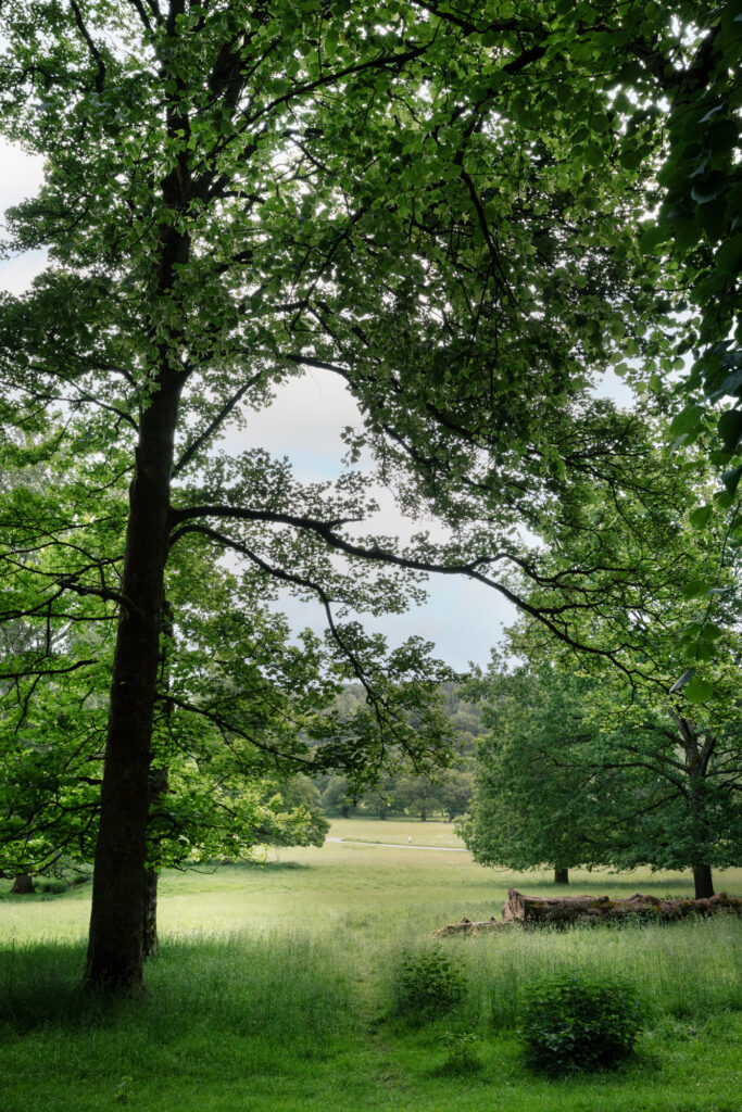 Chatsworth Caravan Park